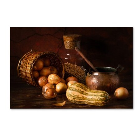 Trademark Fine Art Luiz Laercio 'Onions And Pumpkin' Canvas Art, 22x32 1X02941-C2232GG